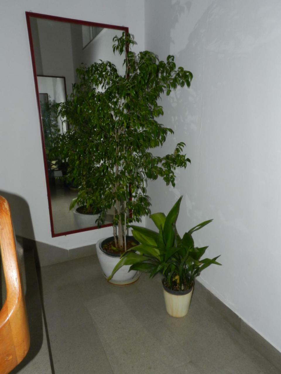 Levak Apartments - Apt. 1 Pjescana Uvala Luaran gambar